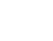 e vision
