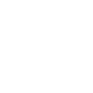 LOGO Costin Wash