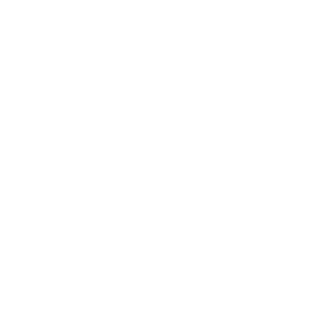 LogoTeamTelecom