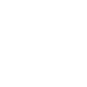 Man with a van