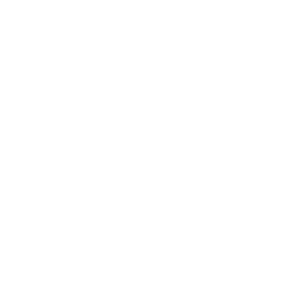 alezzi