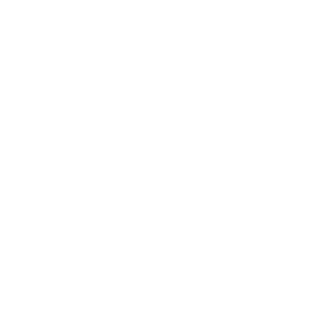 e vision