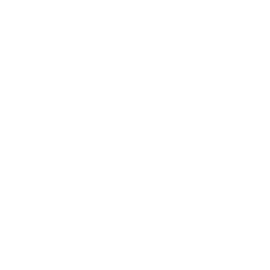 egis law