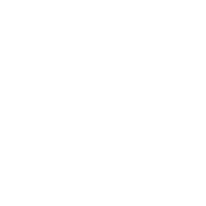epilvip