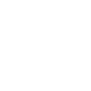 sofirmar logo dark
