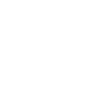 sonerg
